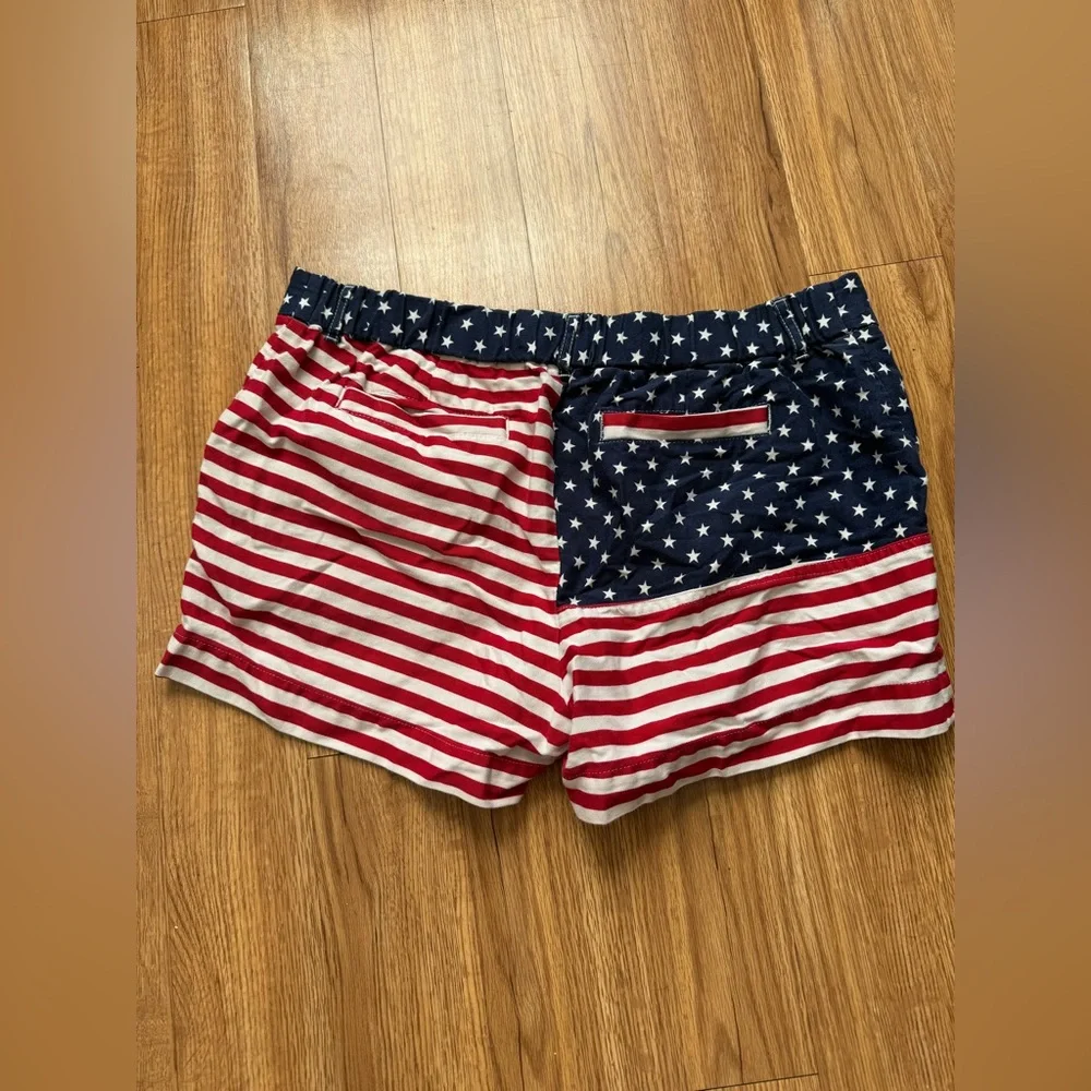 Chubbies Shorts (14) - Picture 2 of 3